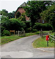 SY3392 : Queen Elizabeth II postbox near Launchycroft, Lyme Regis by Jaggery