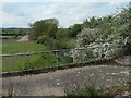 SK4645 : River Erewash, upstream [west] from the Erewash Canal by Christine Johnstone