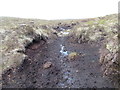 NH4379 : Deer thoroughfare in peat hagg above Abhainn na Glass near Kildermorie by ian shiell