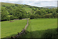 SD7286 : Dales Way descending towards Tommy Bridge by Chris Heaton