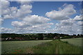 TQ0047 : Footpath Near Shalford by Peter Trimming