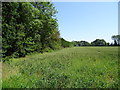 SK4636 : Crop field and hedgerow near Friesland Farm by JThomas