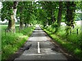 NT6425 : Tree-lined road by Philip Halling