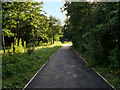 SJ5889 : Path alongside the Railway, Sankey Valley Park by David Dixon