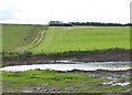  : Pasture cut for plastic wrapped silage by Russel Wills