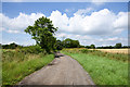 NZ3627 : Byway and access road for Neasless Farm by Trevor Littlewood