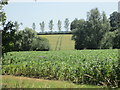  : Rolling fields to the north of Epping Upland by Peter S