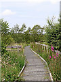 SN6862 : Cors Caron boardwalk north of Tregaron in Ceredigion by Roger  D Kidd