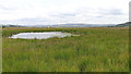 SN6863 : Pool on Cors Caron south of Swyddffynnon in Ceredigion by Roger  D Kidd