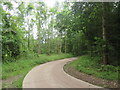 TQ1551 : Driveway through woodland near Dorking by Malc McDonald