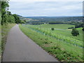 TQ1550 : North Downs Way, near Dorking by Malc McDonald