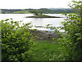 NM9535 : Small island in Loch Etive by M J Richardson