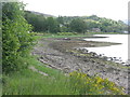 NM9336 : Loch Etive shore by Achnaba Lodge by M J Richardson