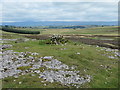  : Cairn on Crosby Ravensworth Fell by Gordon Hatton