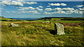 NZ9203 : Ramsdale Stone Circle by Mick Garratt