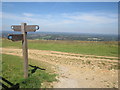 TQ3313 : South Downs Way near Ditchling Beacon by Malc McDonald