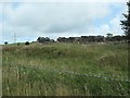 SH4956 : Bryngwyn Station [remains of] by Christine Johnstone