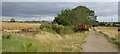 SP7495 : Old farm machinery along the Gartree Road by Mat Fascione