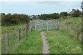 SH4957 : A pair of large kissing gates, Bryngwyn branch slate trail by Christine Johnstone