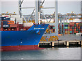 TQ7381 : Containers on the Quayside at London Gateway by David Dixon