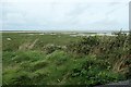 SH4558 : Y Foryd, 90 minutes after high tide by Christine Johnstone