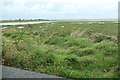 SH4558 : Y Foryd from the bird hide by Christine Johnstone