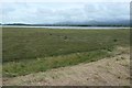 SH4459 : Salt marsh, Y Foryd by Christine Johnstone