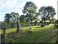 SK7695 : Evening light in Misterton New Cemetery by Marathon