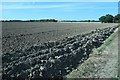 SE6519 : Farmland between South Field Lane and the M62 by Christine Johnstone