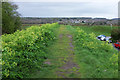 SY9187 : Town walls, Wareham by Derek Harper