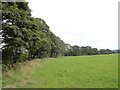 NZ2350 : Line of trees along field edge by Robert Graham