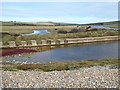 TV5197 : Concrete wall at Cuckmere Haven by Oliver Dixon