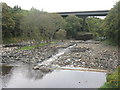 NT0667 : Fish pass on the River Almond at Livingston by M J Richardson