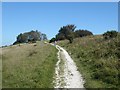 SU7918 : South Downs Way at Harting Down by Oliver Dixon