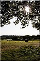 SP0968 : Silage bales, Ullenhall Lane by P Gaskell