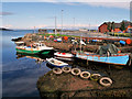 NS0235 : Small Fishing Boats at Brodick by David Dixon