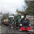 SH6945 : Arriving at Blaenau Ffestiniog by Gerald England