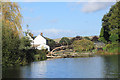 ST9761 : Tree Down in the Canal by Des Blenkinsopp