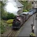 SH6441 : Palmerston at Tan-y-Bwlch by Gerald England