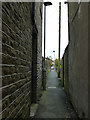 SE1230 : Ginnel down the side of the Nag's Head by Stephen Craven