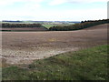 SU3085 : Looking towards Kingston Warren from the Lambourn Valley Way by Vieve Forward