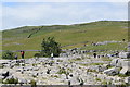 SD8964 : Checking out the limestone pavement at Malham Cove... by Bill Harrison