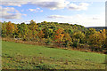 SO7583 : Severn Valley Country Park near Alveley, Shropshire by Roger  D Kidd