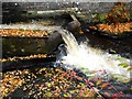 NS5574 : Fish Ladder, Milngavie by Richard Sutcliffe