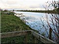 TL3974 : Near Earith Bridge - The Ouse Washes by Richard Humphrey