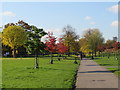 TQ3277 : Autumn in Burgess Park, near Camberwell by Malc McDonald