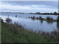 TL4381 : Early winter flooding near Mepal - The Ouse Washes by Richard Humphrey