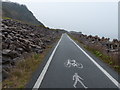 SH8878 : Wales Coast Path and National Cycle Route 5 by Mat Fascione