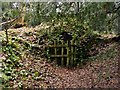 SK6465 : Rufford Abbey Country Park  small ice house by Alan Murray-Rust