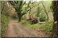 SX7448 : Track above Torr Brook by Derek Harper